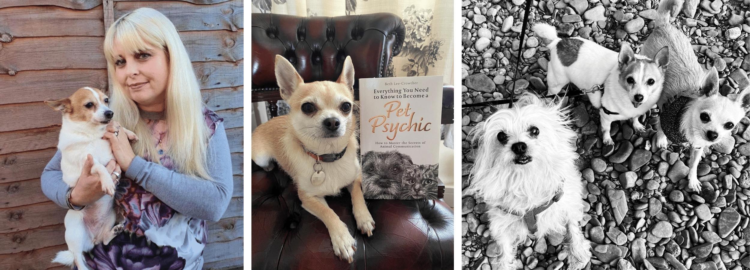Pet Psychic Beth Lee-Crowther with her dogs and book